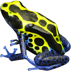 Sipaliwini Yellow